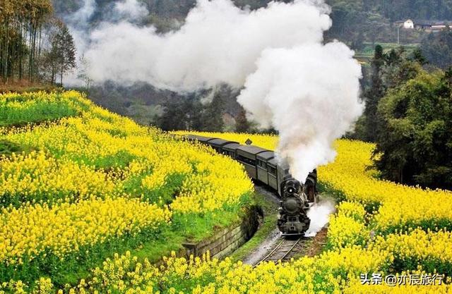 乐山大佛旅游攻略，乐山大佛景区攻略详细（乐山大佛峨眉山一日游攻略）
