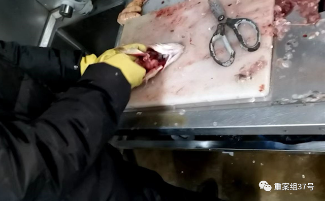 生鲜指的是哪些产品，生鲜是指什么产品（卧底生鲜电商配送站）