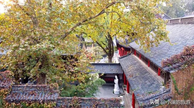 南京有什么玩的，南京最值得玩的景点有哪些免费的（南京6个很美的旅行地）