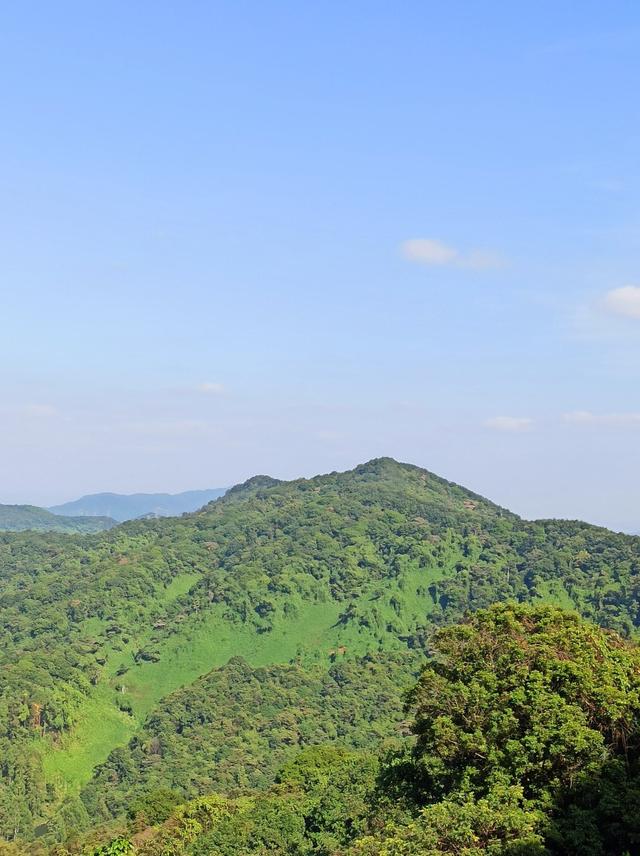 龙眼洞森林公园，广州龙洞森林公园介绍（广州徒步之渔龙线……）