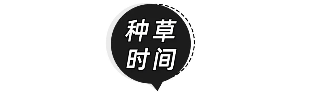 知名牌子口红便宜又好用的品牌，这10支口红平价显白不挑人