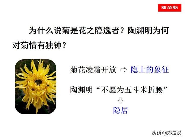 爱莲说原文朗读，爱莲说拼音版原文（部编人教版七年级语文下第17课《爱莲说》周敦颐-诵读+课件）