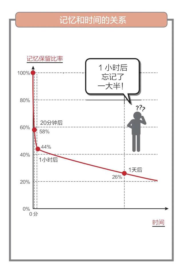 脑干自上而下包括哪些，脑干自上而下分别是（《哈佛长时记忆法》读书笔记）