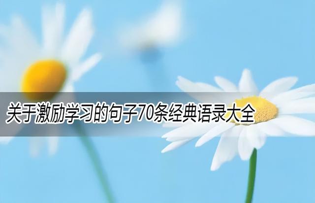 关于学习的寄语，关于激励学习的句子70条经典语录大全