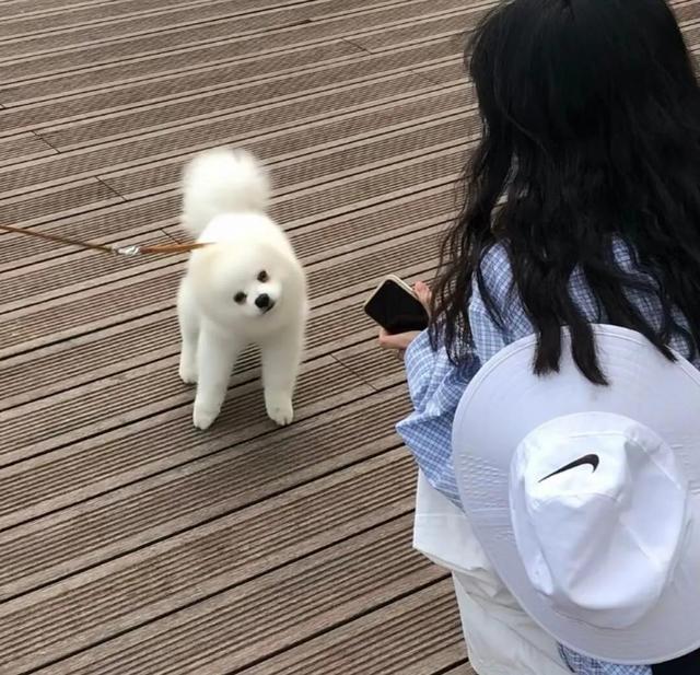 昵称女生简短好听霸气，2022最火网名（网名‖女生霸气昵称）