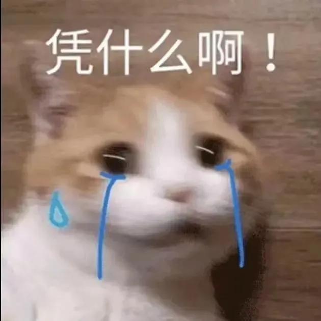萌宠表情包，微信头像，萌宠表情包（萌宠表情包：我的爱是垃圾吗）