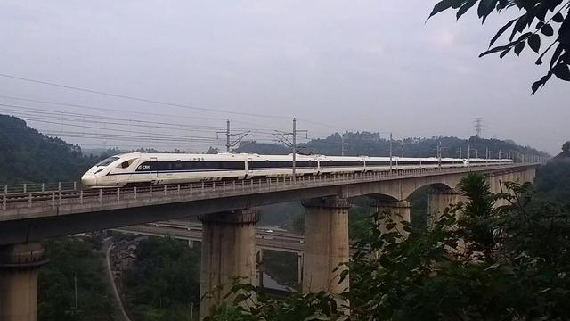 甬温线为什么要埋车头，甬温线动车为什么埋掉（国内干线动车组全家福）
