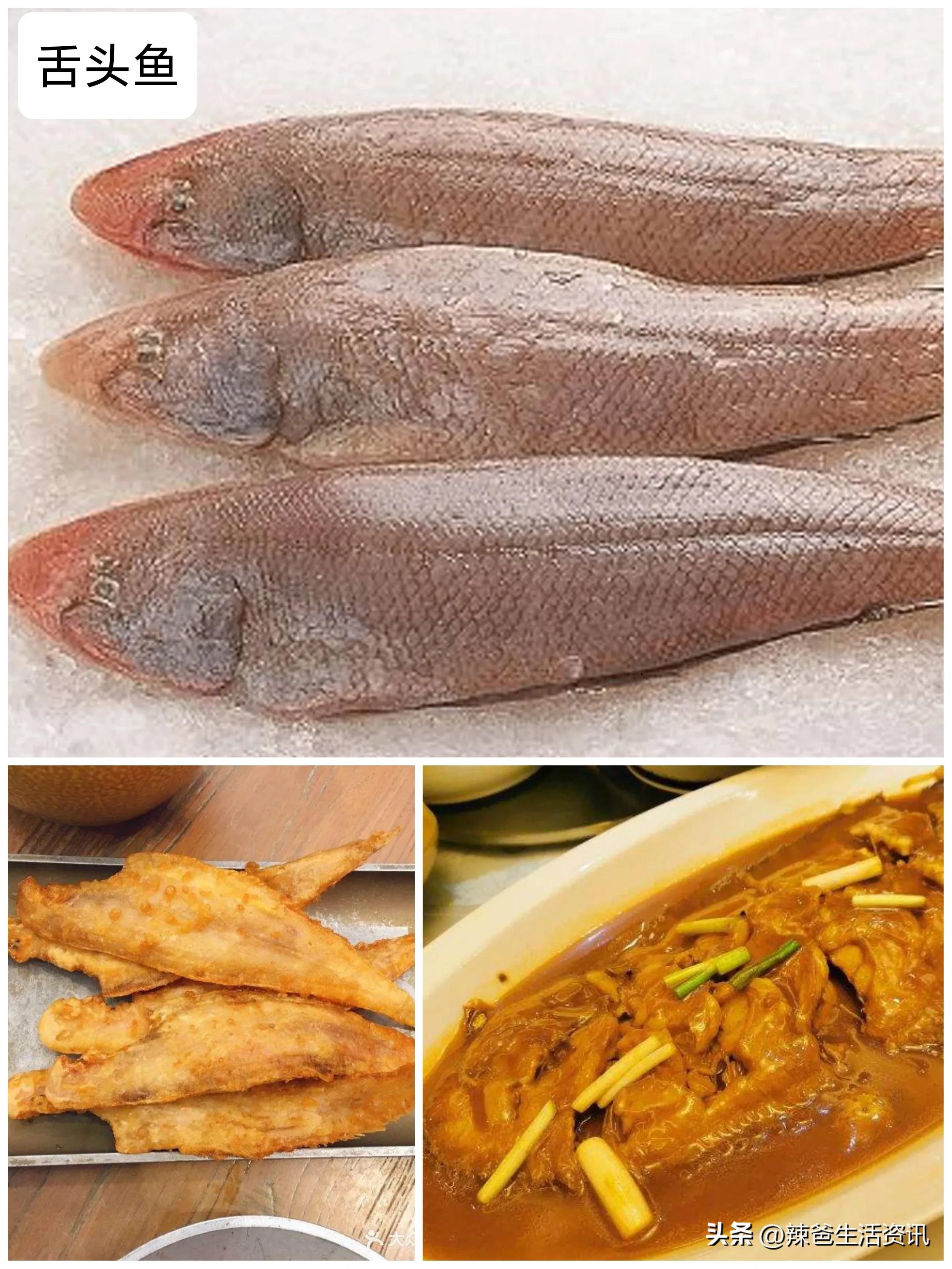 28,舌头鱼(野生)