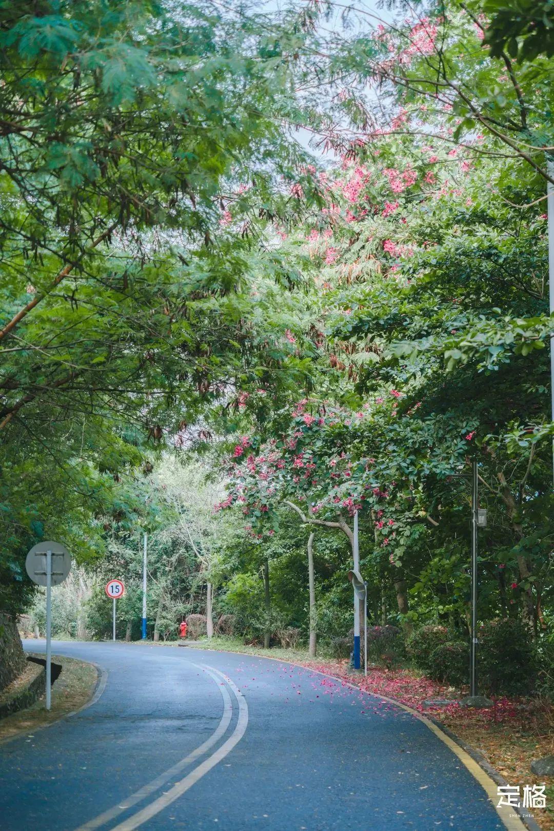 宝安中心地铁站(宝安客运中心附近地铁站)