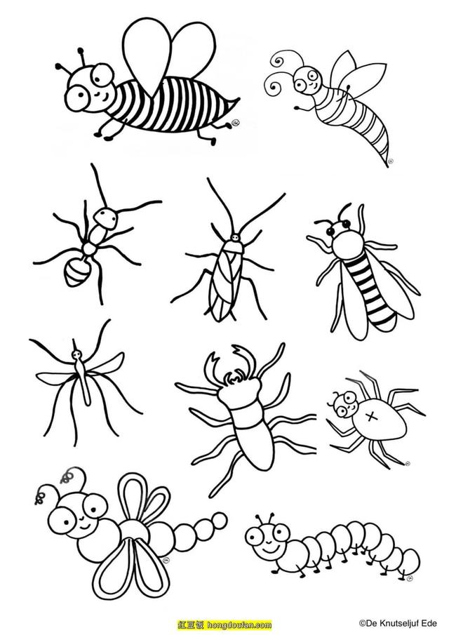 **毛虫图片简笔画，毛毛虫简笔画（蜜蜂蚯蚓毛毛虫天牛马蜂蜈蚣简笔画）