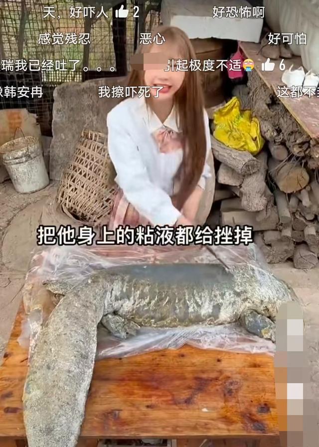 肥肥鲨，微信头像，肥肥鲨（被指吃相难看像恐怖片）