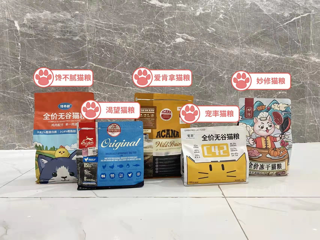 猫咪被打后难过的表现，猫被打后心情是怎样的（劝你别冲动就打猫）