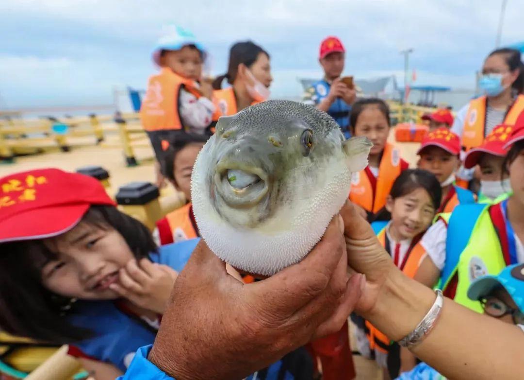 荣成风景区有哪些，荣成周边景点（来荣成这些打卡景区景点采撷好春光）