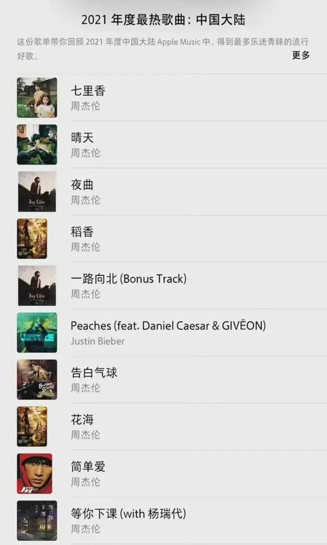 类似伤不起的歌，伤不起春运版（2021年十大抖音神曲）