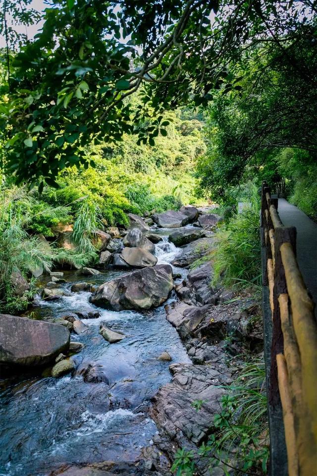 深圳好玩的免费景点，深圳哪里好玩的景点（来深圳这10个地方免费玩）