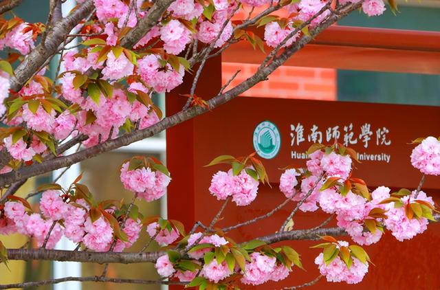 淮南师范学院是一本还是二本，淮南师范学院算好二本吗（淮南师院升为“一本大学”）