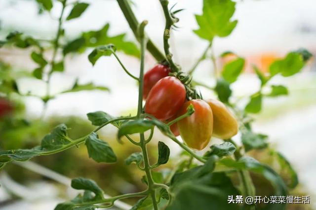 广西贵港旅游攻略，盘点20个值得一去的好地方