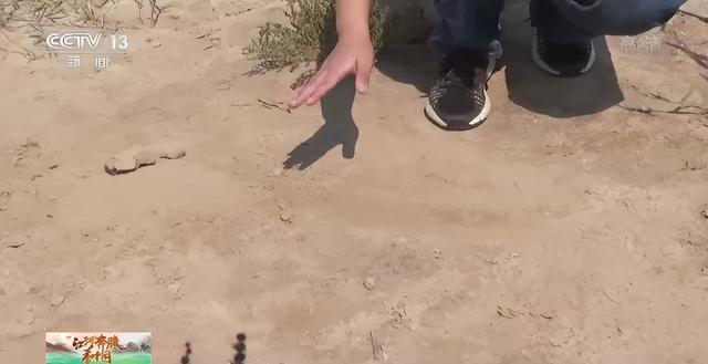 一个平方等于多少米，一平方米等于100米对吗（江河奔腾看中国丨全方位呈现）