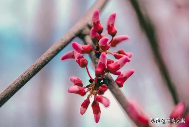 80后气质昵称，80后气质网名（气质小清新网名简短）