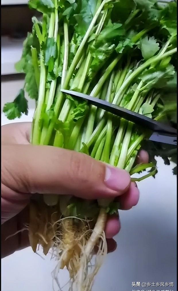 开根号最简单的方法，手动开根号方法（香菜根不要再丢掉了）