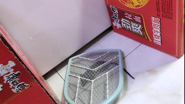 怎么逮老鼠 逮老鼠的妙招，怎么逮老鼠（记录一下住在高层的我是如何用电蚊拍抓老鼠的）