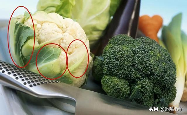 菜花是什么菜，菜花是什么菜图片（看完赶紧收藏告诉家人）