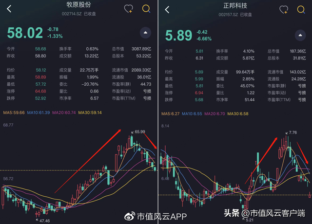 正邦科技分红,正邦科技股票行情（6次增发1次可转债,圈钱143亿,分红28亿,亏114亿）