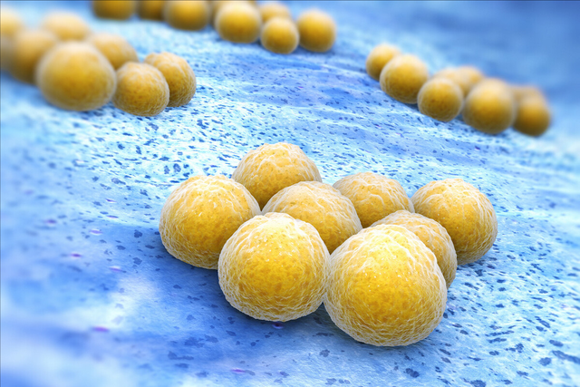 毛囊炎的治疗方法，毛囊炎最佳治疗方法是什么（毛囊炎的致病原及治疗方法）