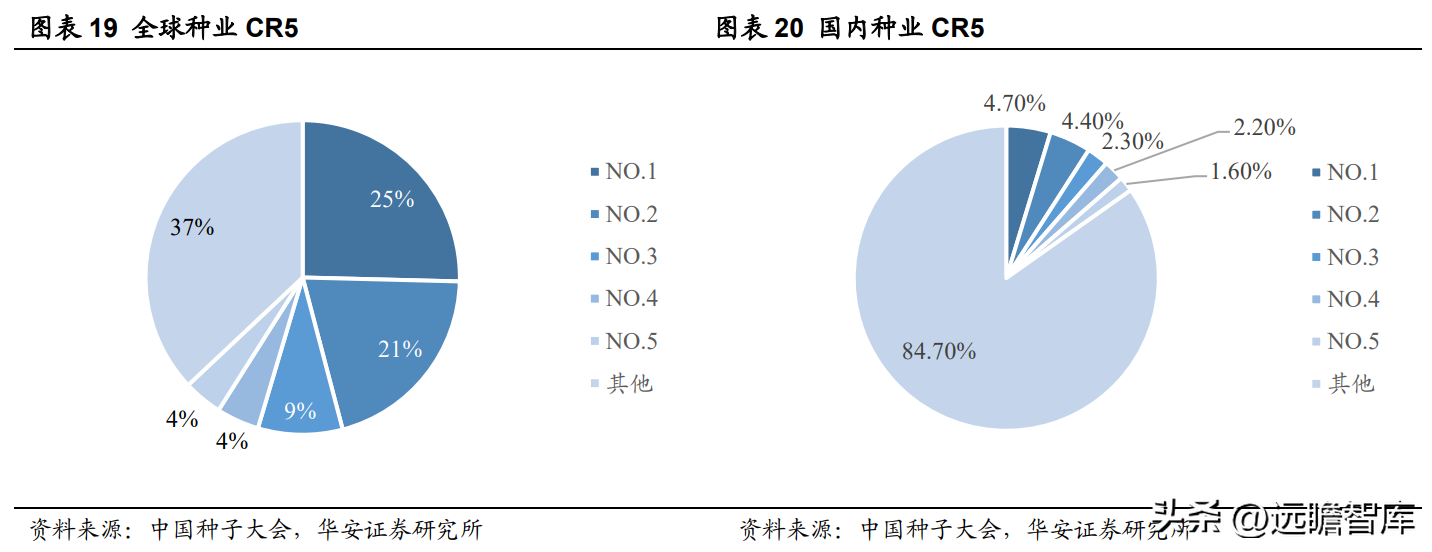 登海先锋种业（玉米种子领军企业）