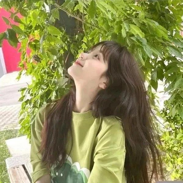 绿色小清新系列的qq女生头像  夏有森光暖无疑微信，绿色小清新系列的qq女生头像  夏有森光暖无疑（女生头像：夏日清新绿色系头像）
