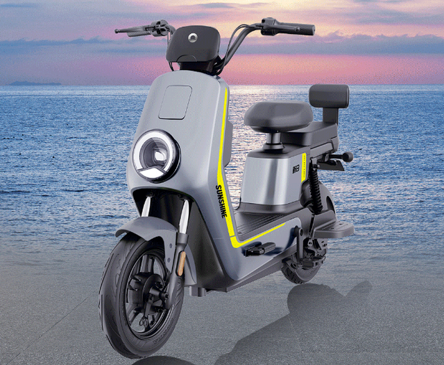 新日电动车价格及图片，新日电动车价格一览表（新日、小刀推出2款电动车）