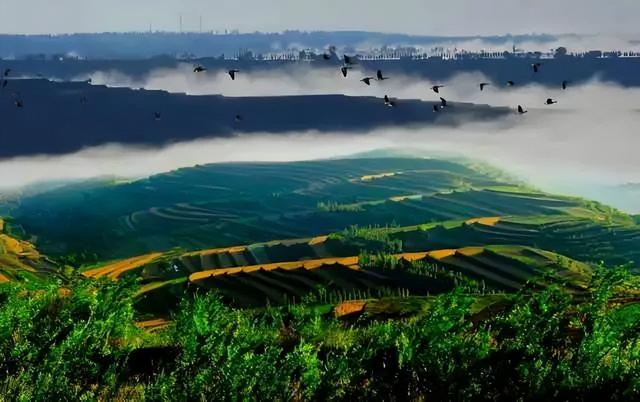 固原市好玩的景點,固原附近的旅遊景點(最全旅遊打卡攻略帶您暢玩固原