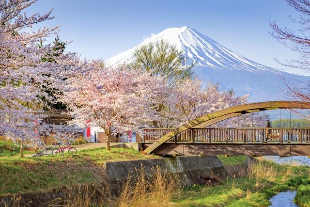 春天去哪里旅游，春天到什么地方旅游最好（推荐世界上最适合春季旅行的十个地方）