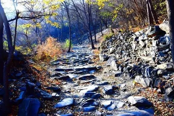 唐指山风景区的景点介绍，唐指山风景区的景点介绍作文（北京十大冷门景点）