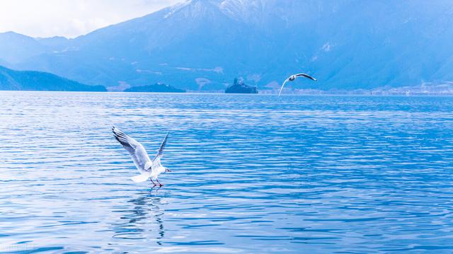 七八月份国内最佳旅游地方，七八月份国内最佳旅游地方溜娃（到这10个最佳旅游胜地）