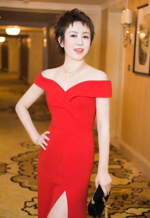 马丽个人资料简介，马丽个人资料孩子（“喜剧女神”马丽）