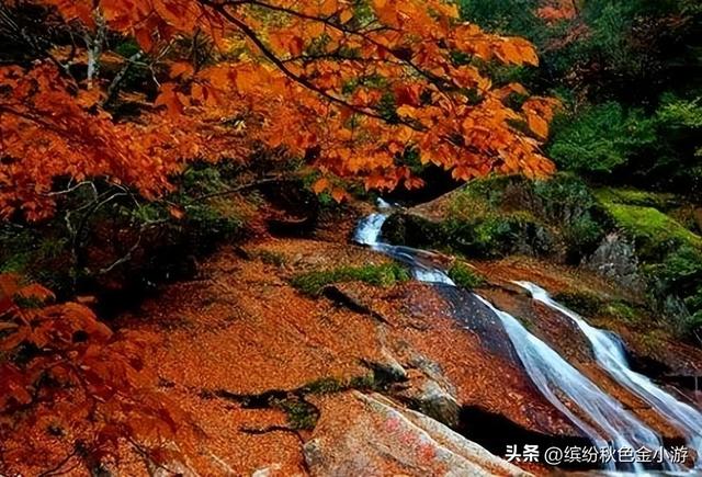 四川有哪些景点，四川旅游必去十大景点推荐（四川最美的二十个景区有哪些）