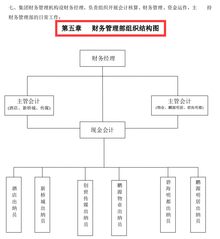 财务负责人岗位职责（新来财务总监制定的财务岗位制度）