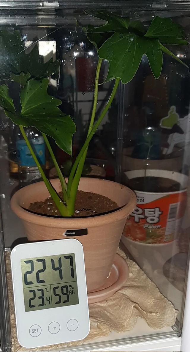 种花用什么土壤最合适，种花用什么土好（我常用的四个通用营养土配方）