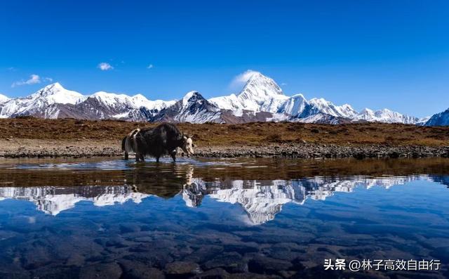 贡嘎雪山最好的位置，自驾观雪山性价比最高的地方︱贡嘎西坡行程攻略