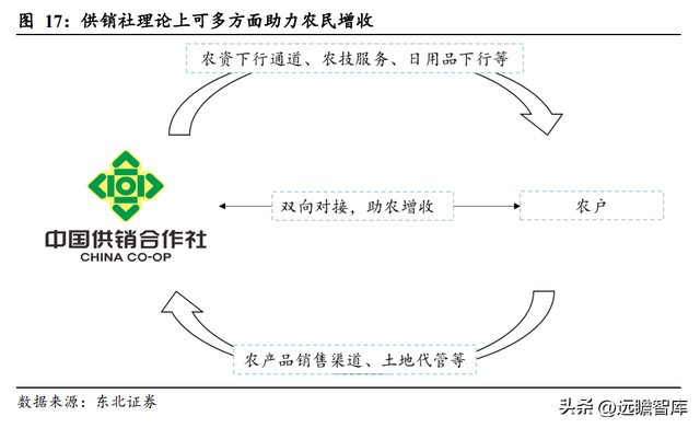 什么是供销社概念，读懂供销社的前世今生