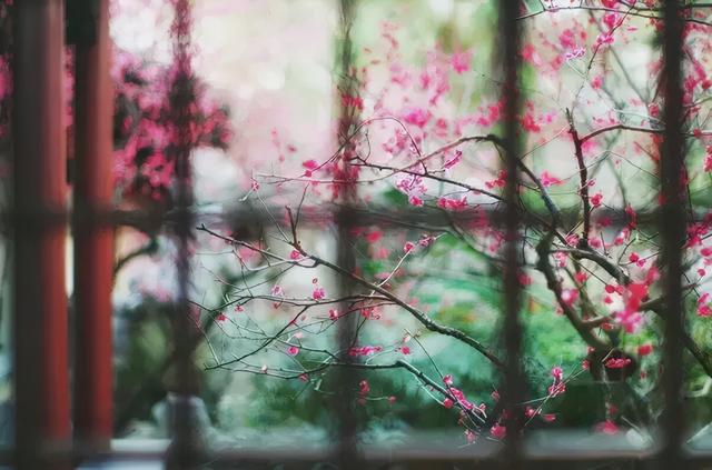 何日归家洗客袍，回家的诗句古诗（十首最为回味的古诗词）