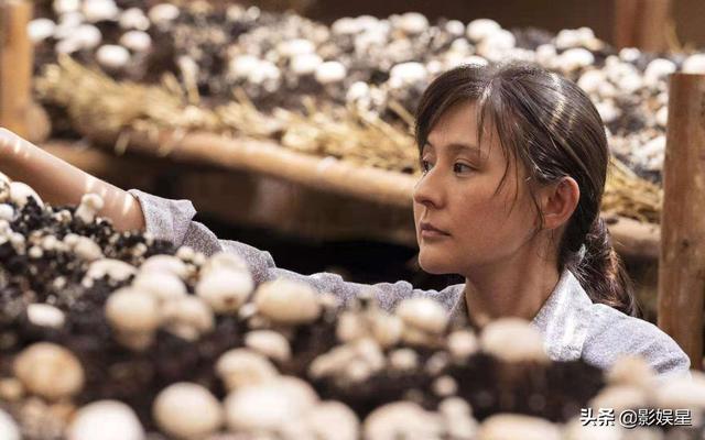 电视剧悬崖演员表，悬崖演员表（央视《人世间》即将来袭）