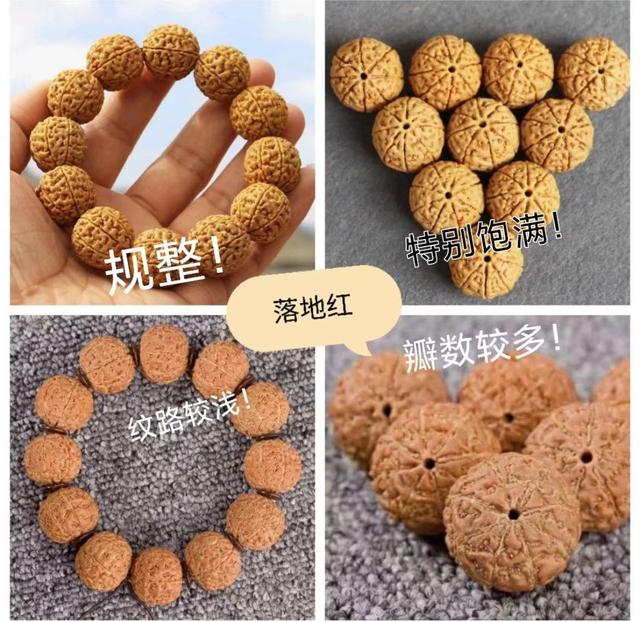 尼泊尔大金刚,印尼大金刚,新几内亚大金刚,最后还有落地红