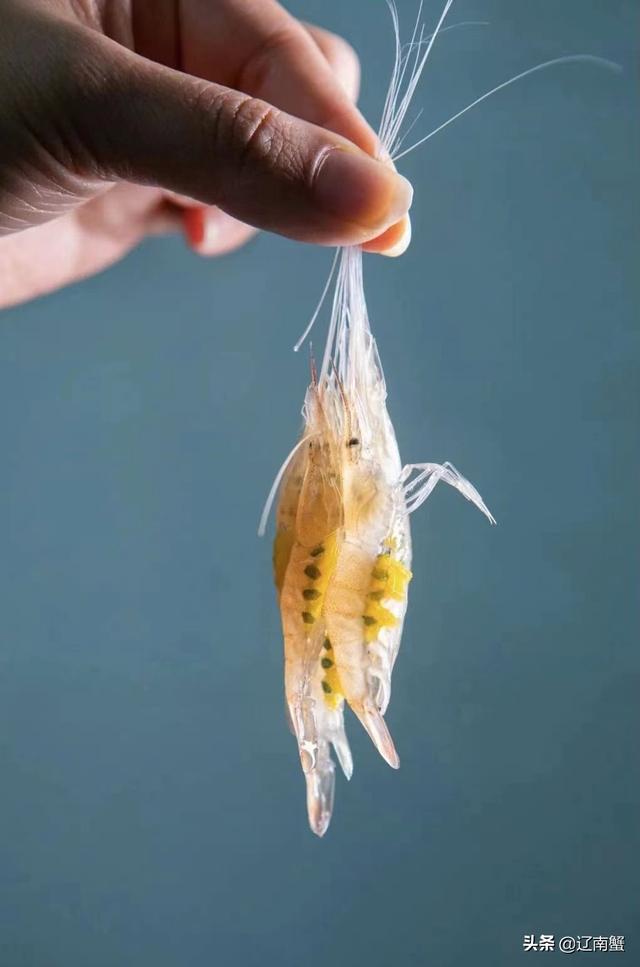 广州南沙有什么景点，广州南沙有什么景点值得去（6景必看9美食必吃）