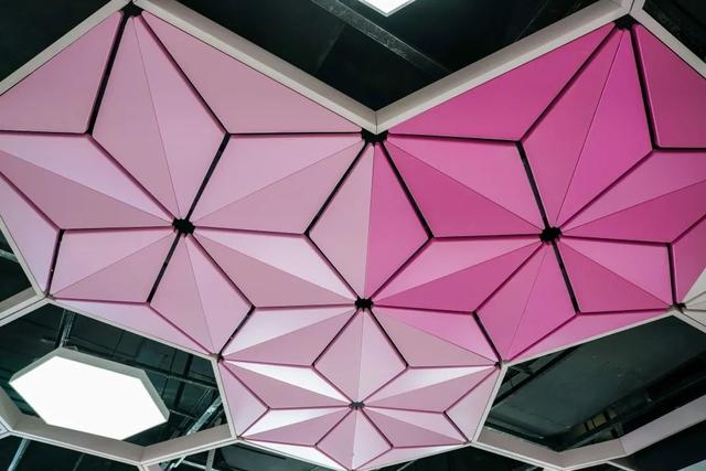 豹龟结石，昆明地铁5号线，首！发！见（肾结石会有啥症状）