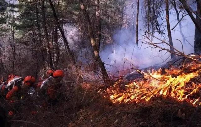 2021清明烧纸有什么讲究，2021年清明烧纸时间有什么讲究（一场祭祀方式的变革正悄然发生）