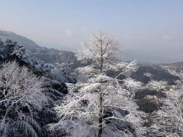 九华山最好的旅游攻略，九华山景区一日游攻略分享