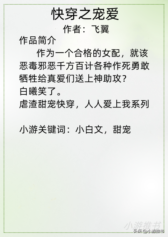 十本高质量甜宠文，十本快穿小说推荐，主娇宠甜文