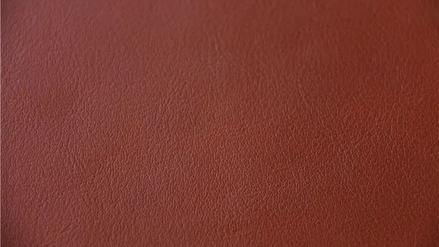 皮革城在哪个城市，浙江皮革城在哪个城市（我国重要的皮革基地）